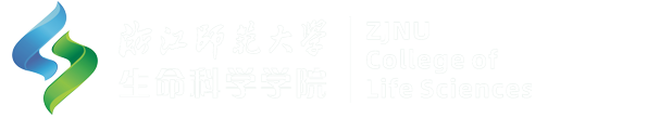 bw必威西汉姆联官网