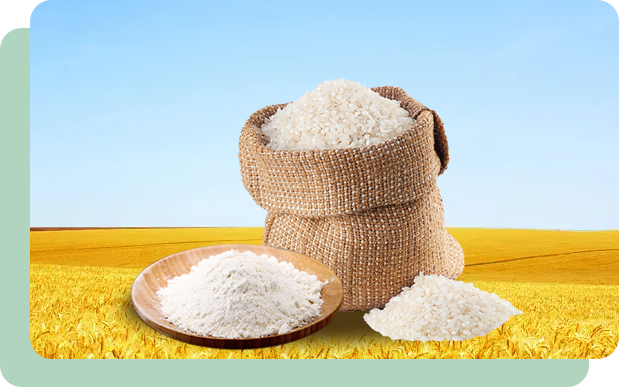 bw必威西汉姆联官网